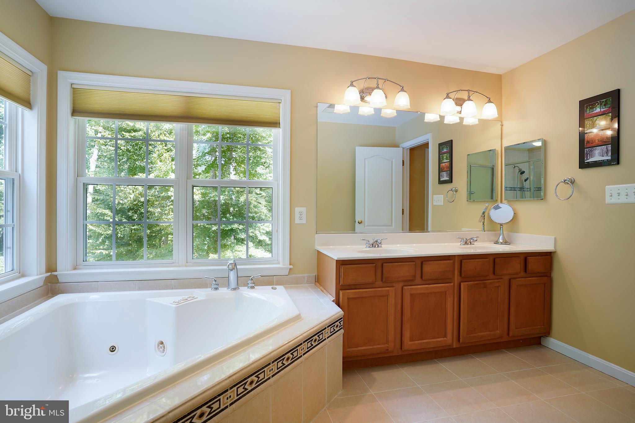 5301 Rutherford Drive Woodbridge, VA 22193 - Photo 31 of 58 Jacuzzi Tub