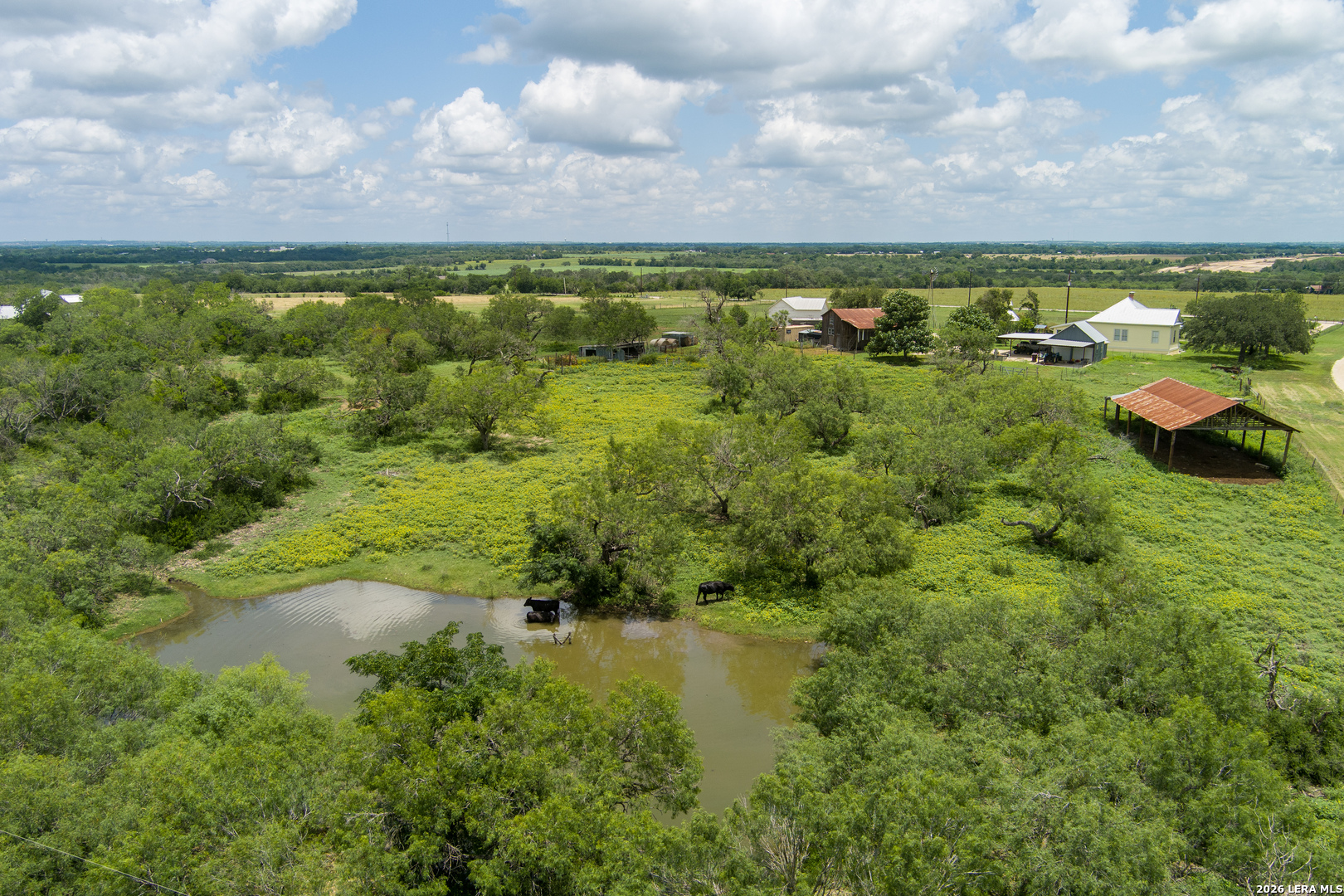 4515 Stapper Road St. Hedwig, TX 78152 - Photo 46 of 64