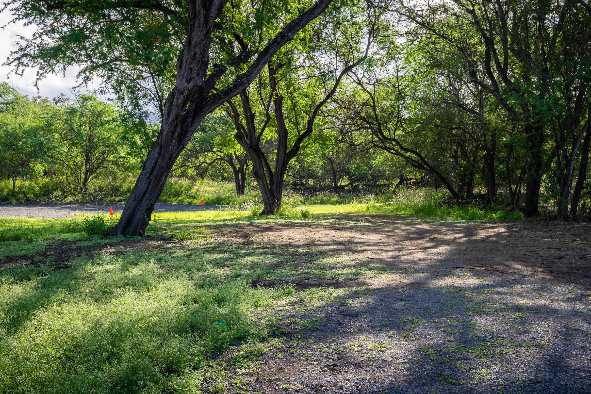 5375 Makena Road Kihei, HI 96753 - Photo 3 of 26