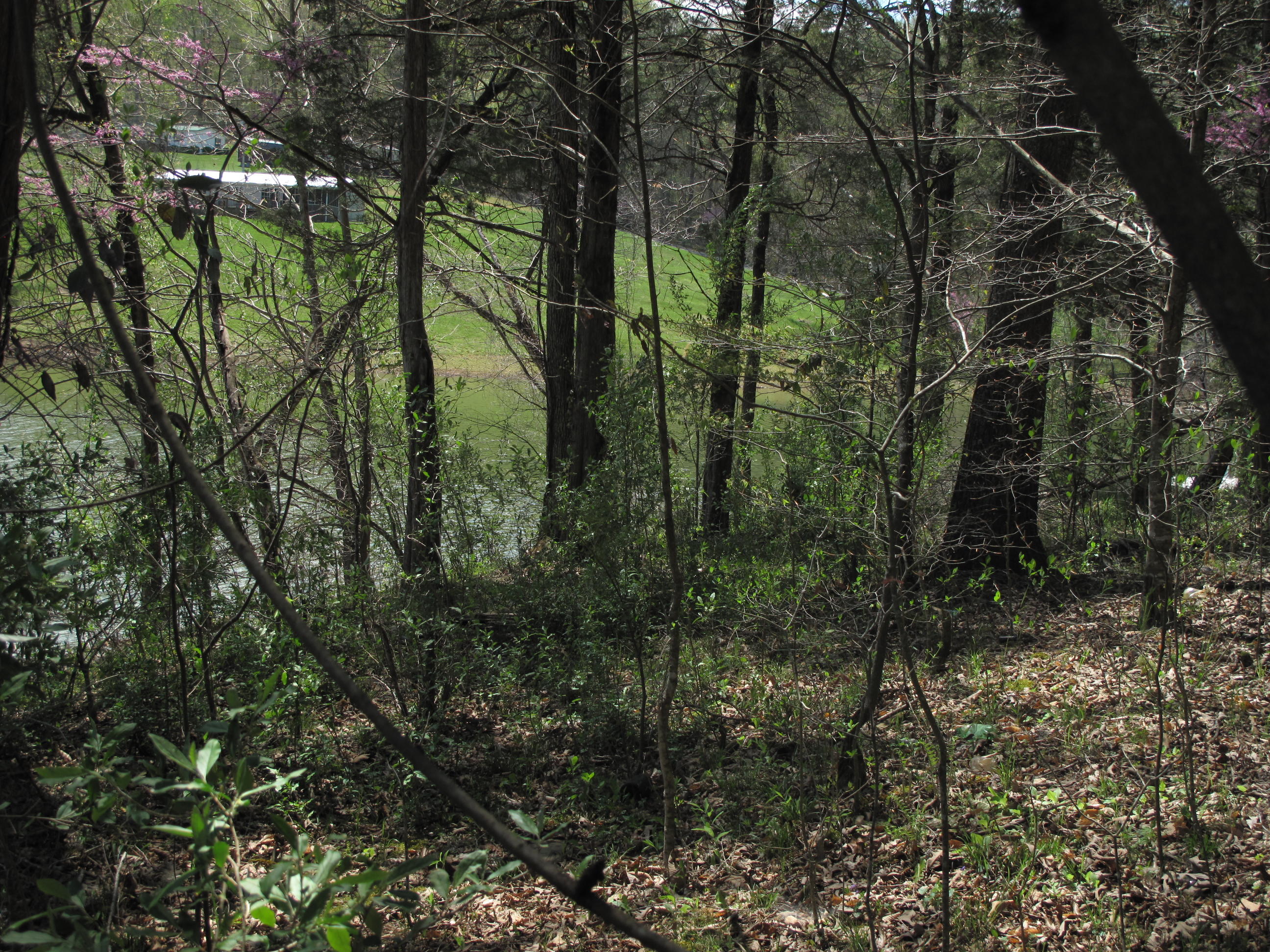 Braden Road Speedwell, TN 37870 - Photo 3 of 6 IMG_4159
