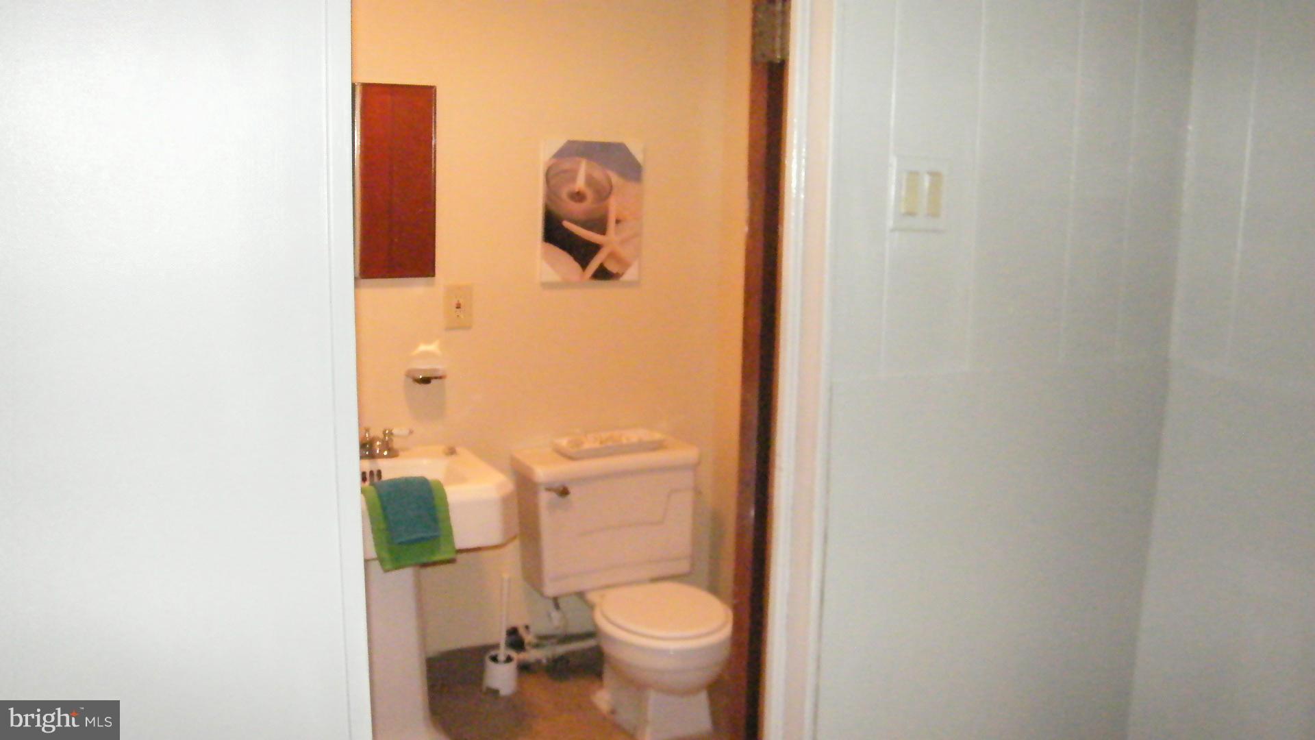40 North Rosedale Street Baltimore, MD 21229 - Photo 24 of 25 Bath LL