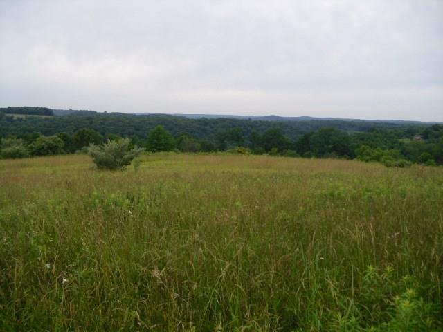 499 Freeport Road Freeport, PA 16229 - Photo 4 of 19