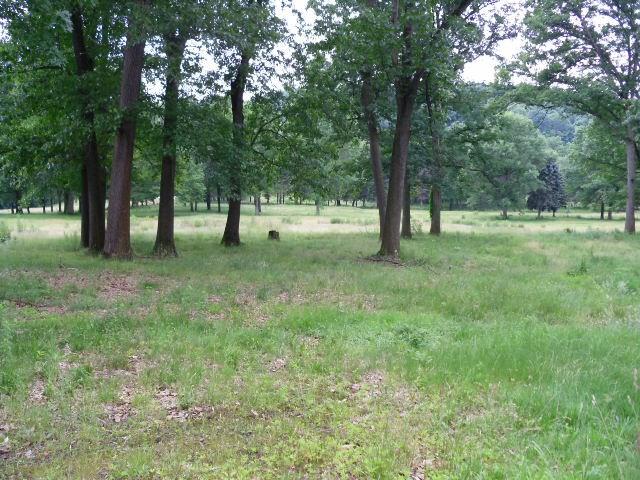 499 Freeport Road Freeport, PA 16229 - Photo 5 of 19