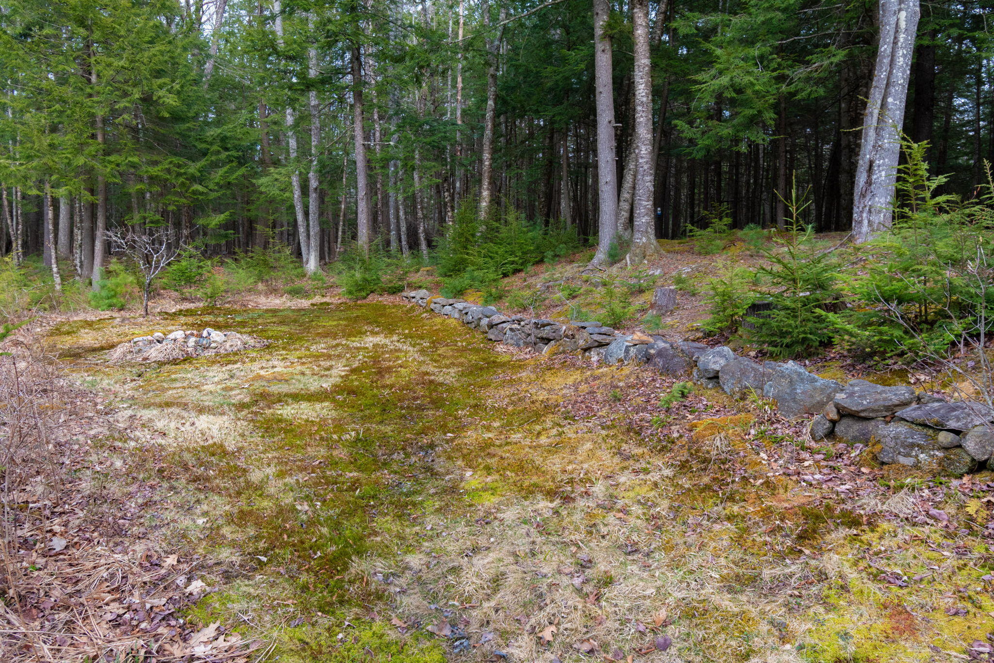 28 Bailey Farm Road Freeport, ME 04032 - Photo 25 of 116 37-web-or-mls-28_Bailey_Farm_Rd_37