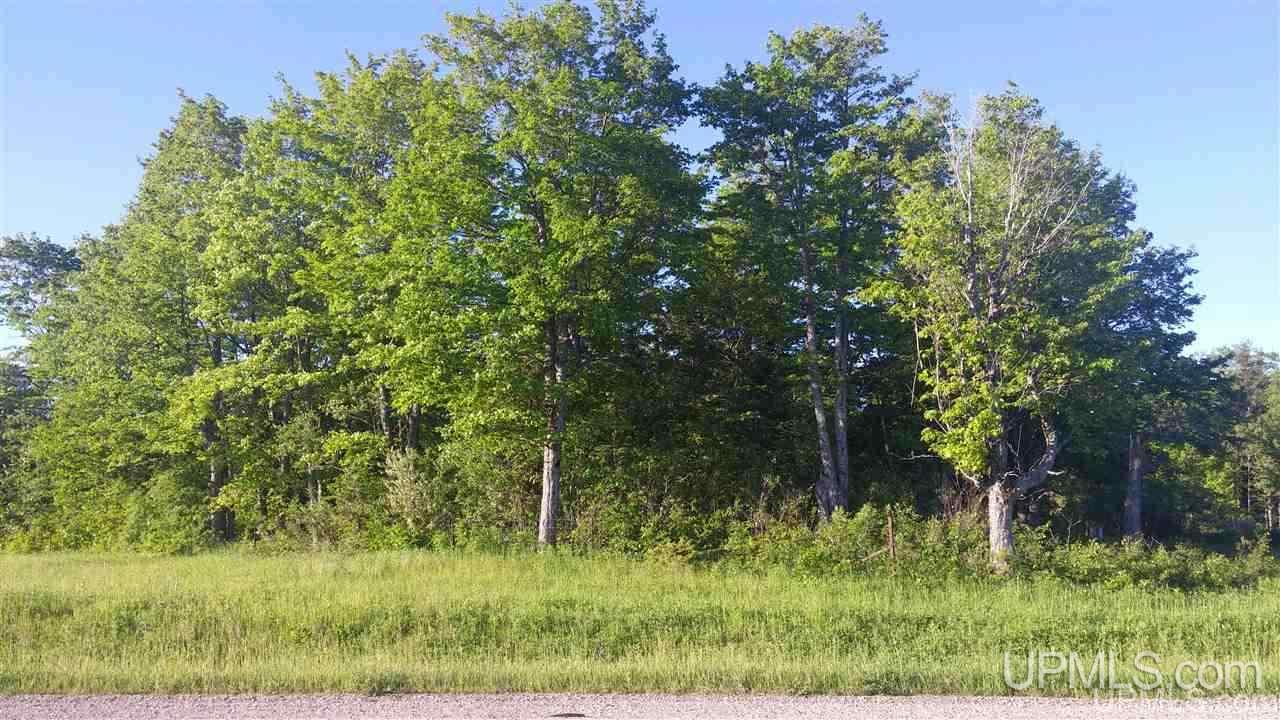 M94 Eben Junction Eben Junction, MI 49825 - Photo 1 of 8