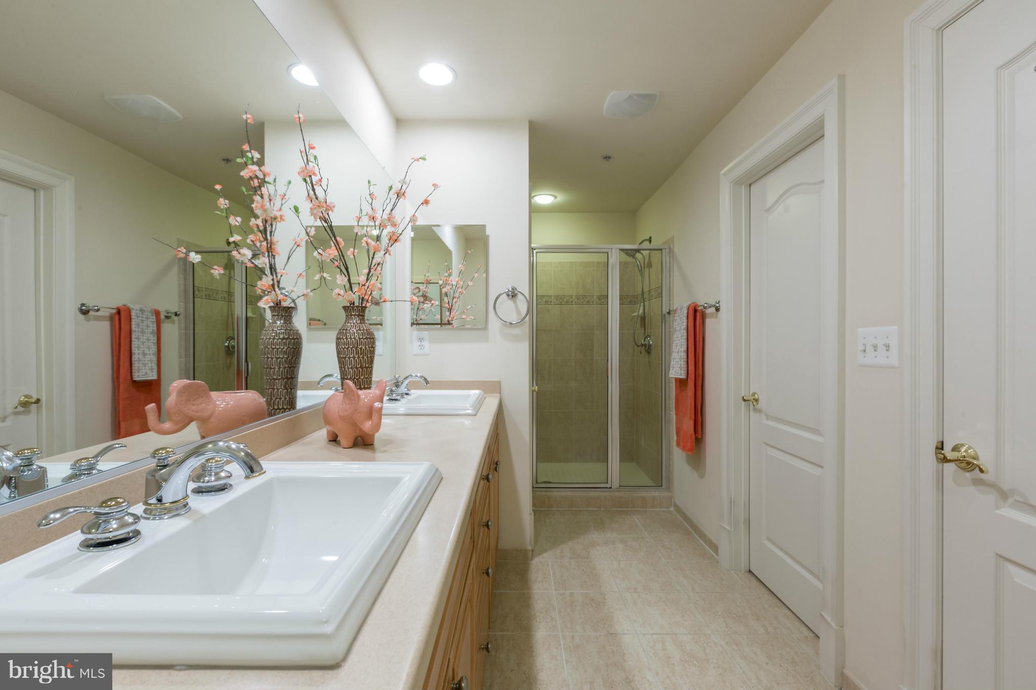 718 Carpenter Road Alexandria, VA 22314 - Photo 10 of 26 Bath (Master)