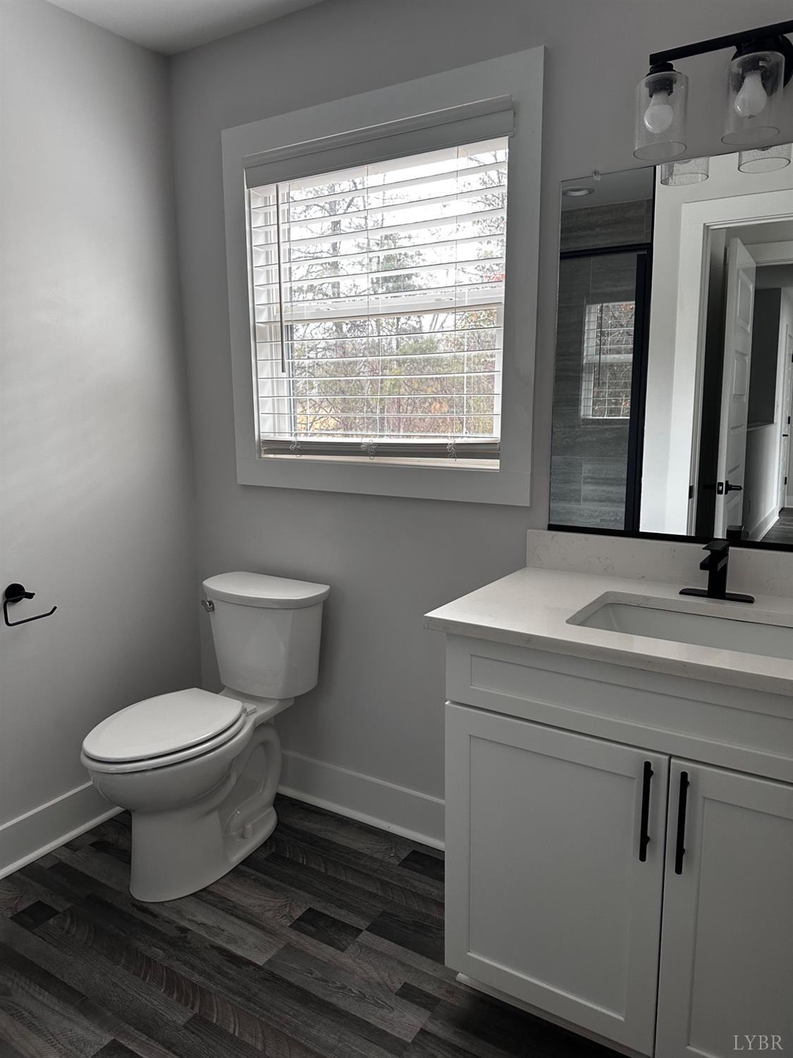 40 Allure Drive Rustburg, VA 24588 - Photo 15 of 20 a bathroom with a toilet a sink and a window