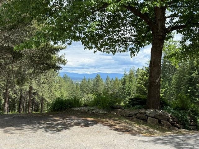8766 West Barrett Drive Rathdrum, ID 83858 - Photo 6 of 44