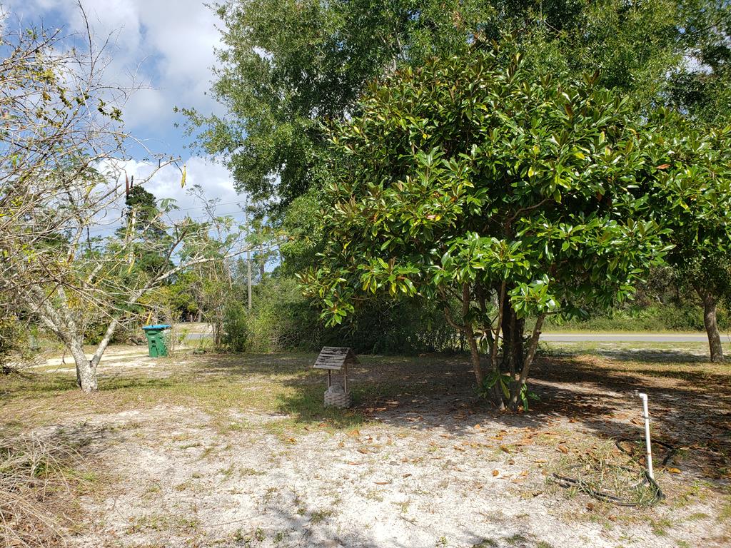 220 River Road Carrabelle, FL 32322 - Photo 10 of 37 Gallery Image 10