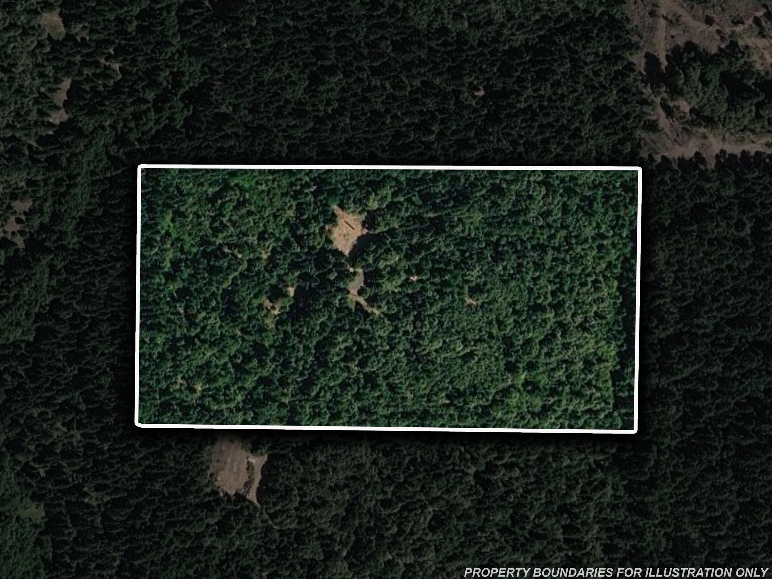 1259 Waldo Road Cave Junction, OR 97523 - Photo 44 of 46 41_1259 waldo rd - lotline 2