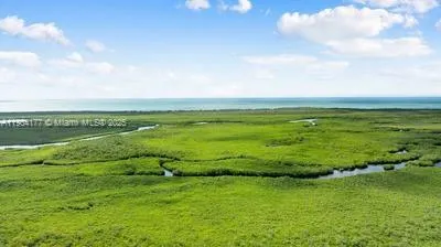 a view of an ocean and beach