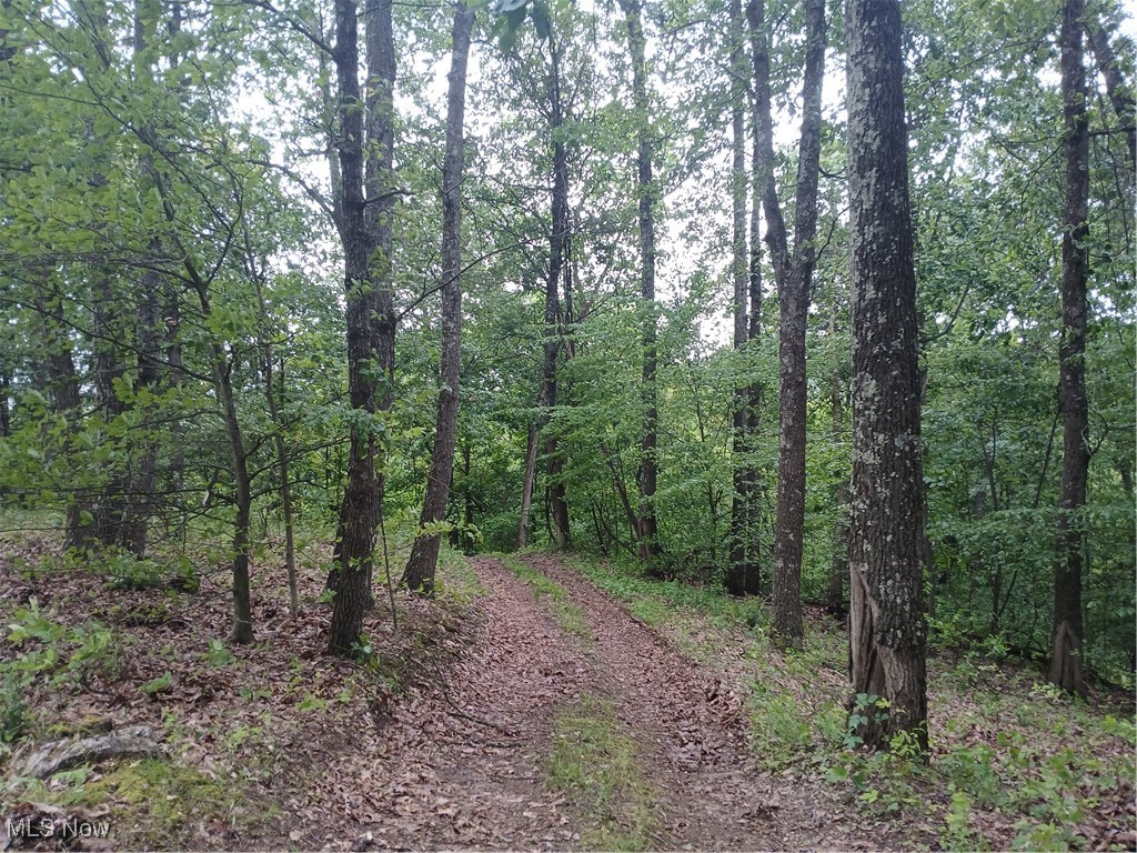 85200 Merryman Road Cadiz, OH 43907 - Photo 50 of 50 trail