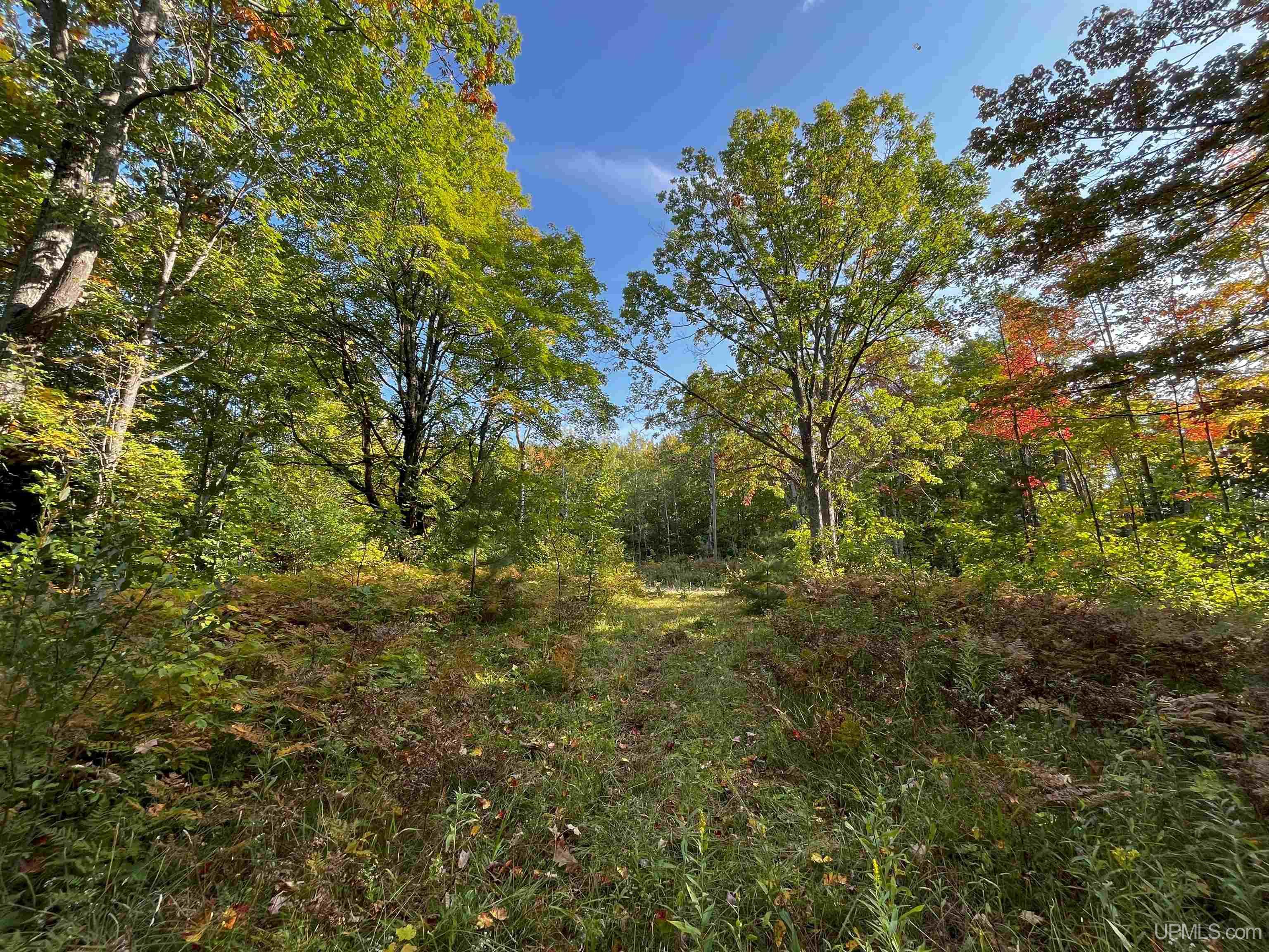 Tbda Worham Road Chassell, MI 49916 - Photo 12 of 28