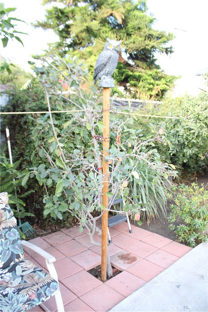 2412 West Alondra Boulevard Compton, CA 90220 - Photo 7 of 32 a picture of plants