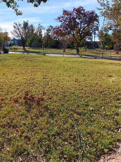 1102 Jackson Avenue Pasadena, TX 77506 - Photo 22 of 22 a view of an ocean