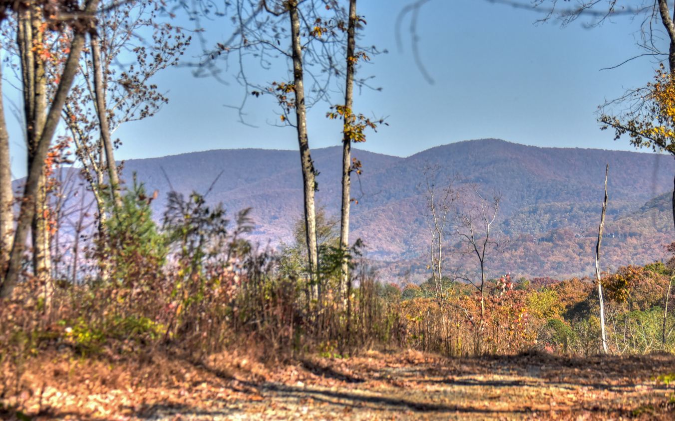 241 Roberts Ridge Road Ellijay, GA 30540 - Photo 20 of 54 Additional View
