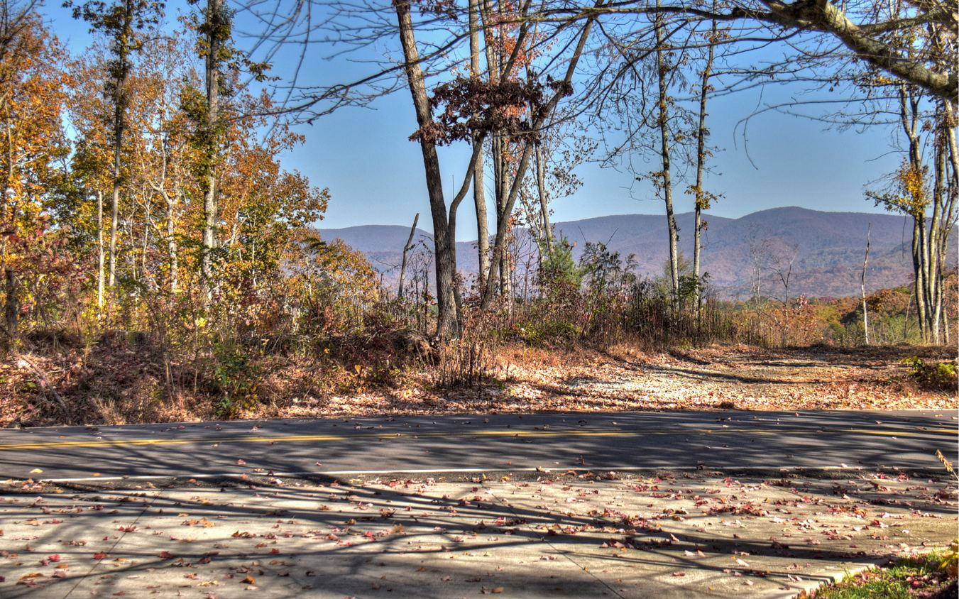 241 Roberts Ridge Road Ellijay, GA 30540 - Photo 21 of 54 Additional View