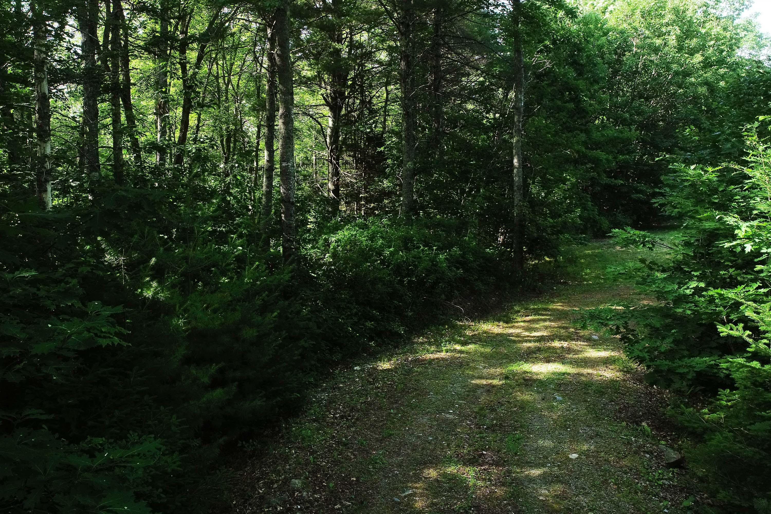 29 Backmeadow Road Waldoboro, ME 04572 - Photo 8 of 19 Backmeadow_web2