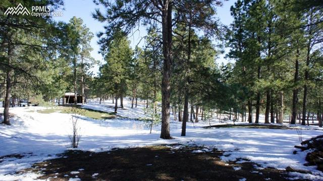 9925 Walker Road Colorado Springs, CO 80908 - Photo 17 of 20 Gallery Image 17
