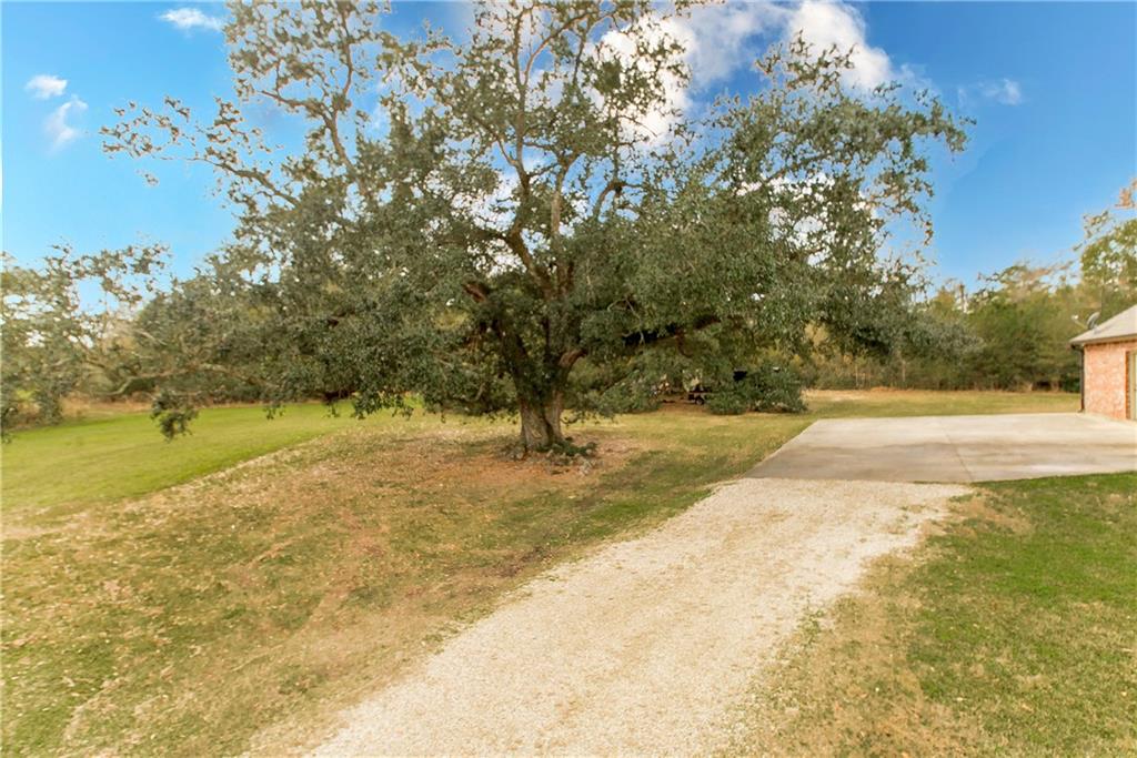 31029 La-22 Highway Springfield, LA 70462 - Photo 3 of 36