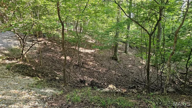 $1 | 545 Friar Tuck Court, Lake Sherwood, MO 63357