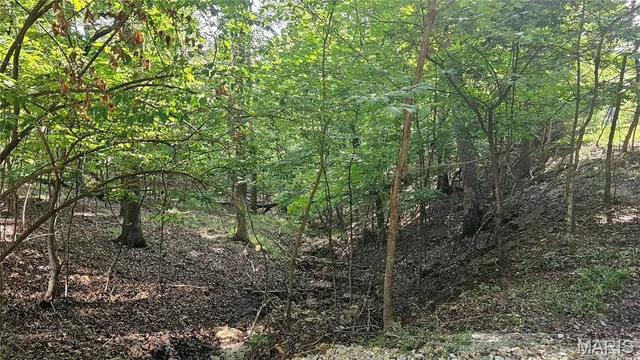 $1 | 545 Friar Tuck Court, Lake Sherwood, MO 63357