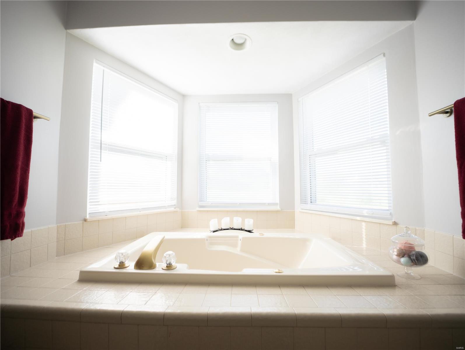 3724 Rhetts Landing Shiloh, IL 62221 - Photo 21 of 37 Gallery Image 21