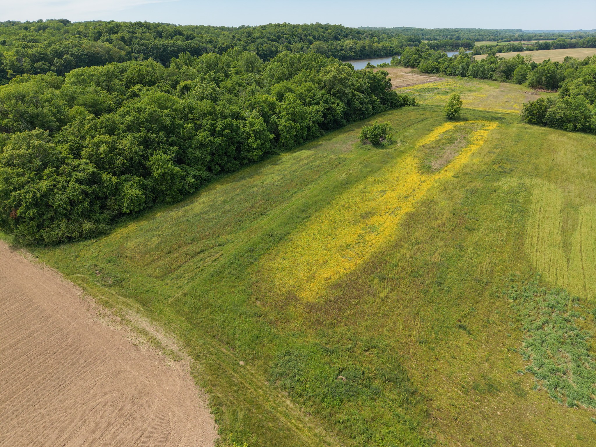 1 Neptune Road Ashland City, TN 37015 - Photo 33 of 34