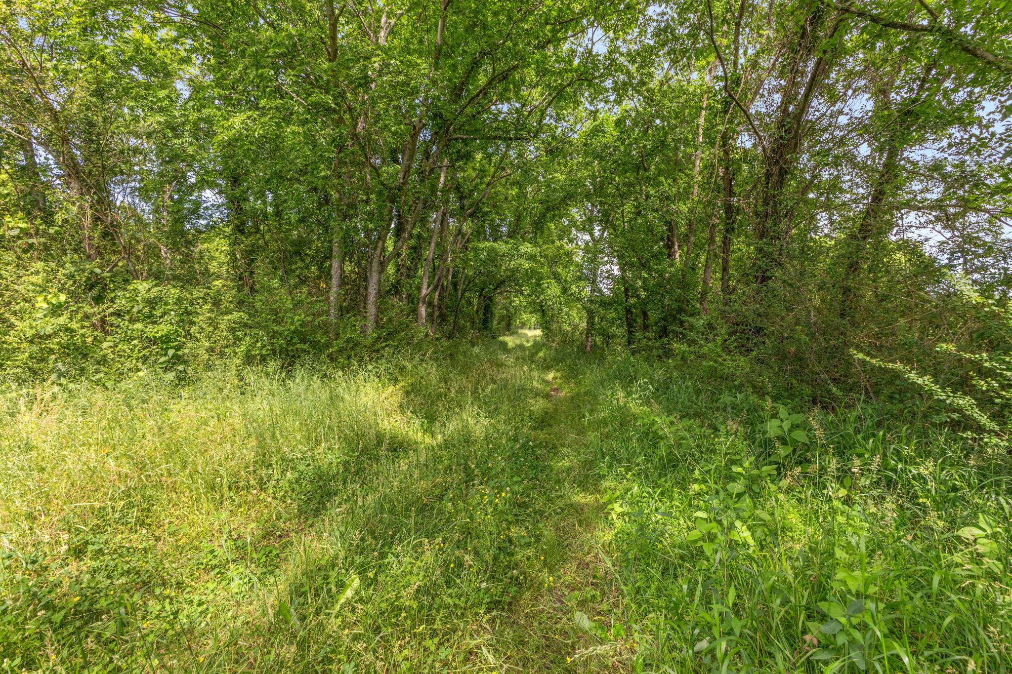 1 Neptune Road Ashland City, TN 37015 - Photo 6 of 34