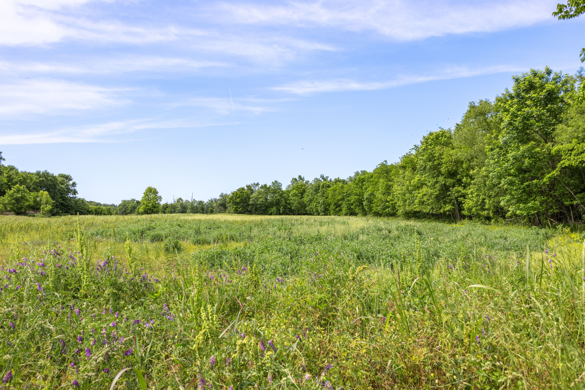 1 Neptune Road Ashland City, TN 37015 - Photo 10 of 34