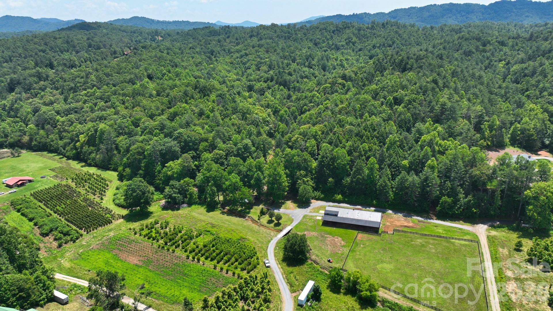 2967-2941 Roby Martin Road Lenoir, NC 28645 - Photo 23 of 47