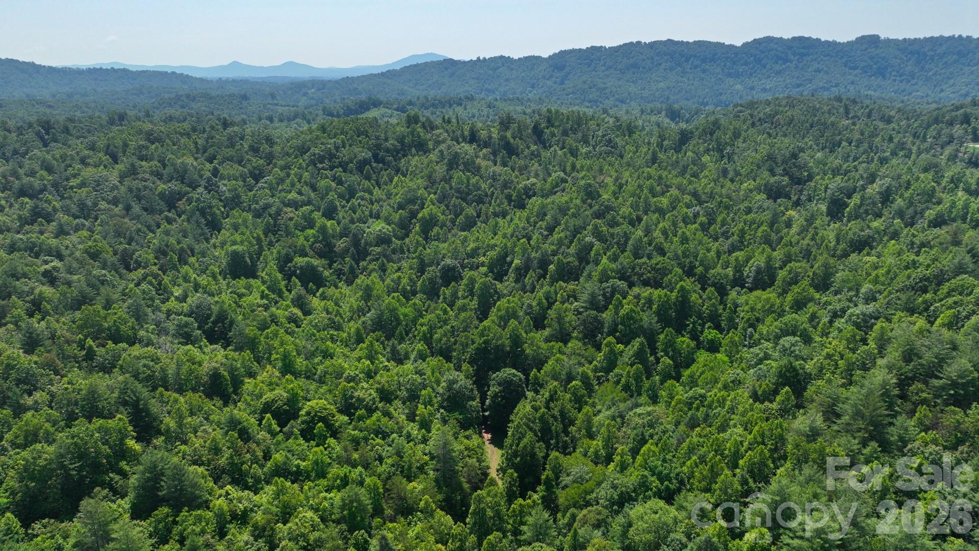 2967-2941 Roby Martin Road Lenoir, NC 28645 - Photo 28 of 47