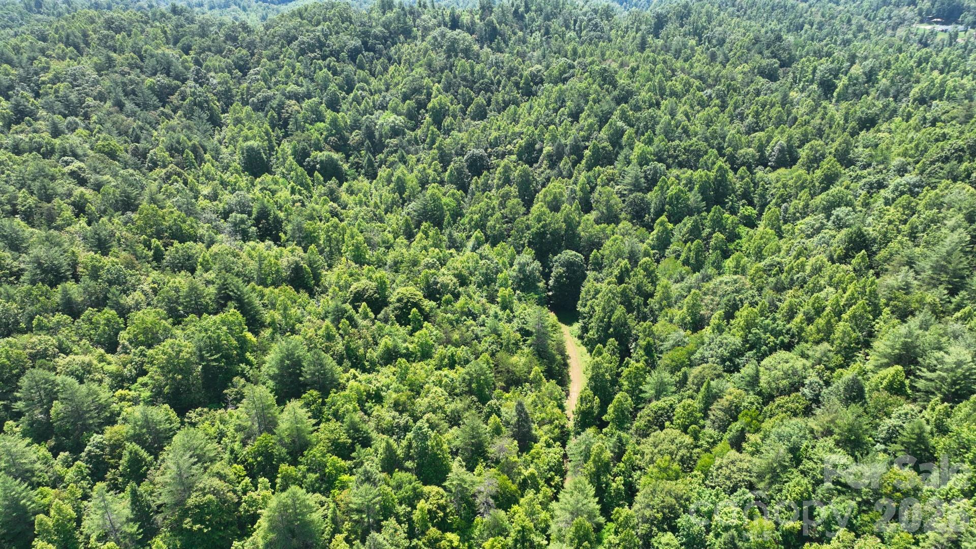 2967-2941 Roby Martin Road Lenoir, NC 28645 - Photo 29 of 47