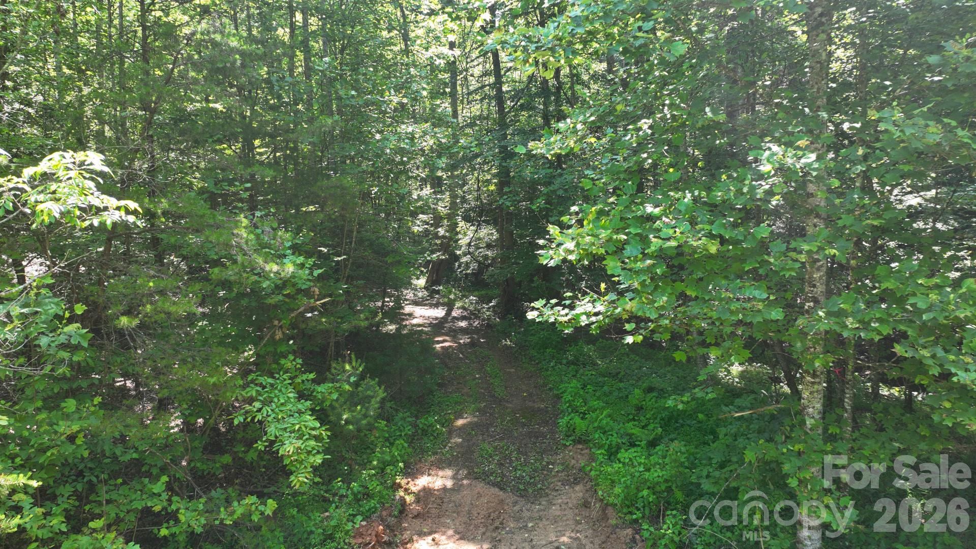 2967-2941 Roby Martin Road Lenoir, NC 28645 - Photo 30 of 47