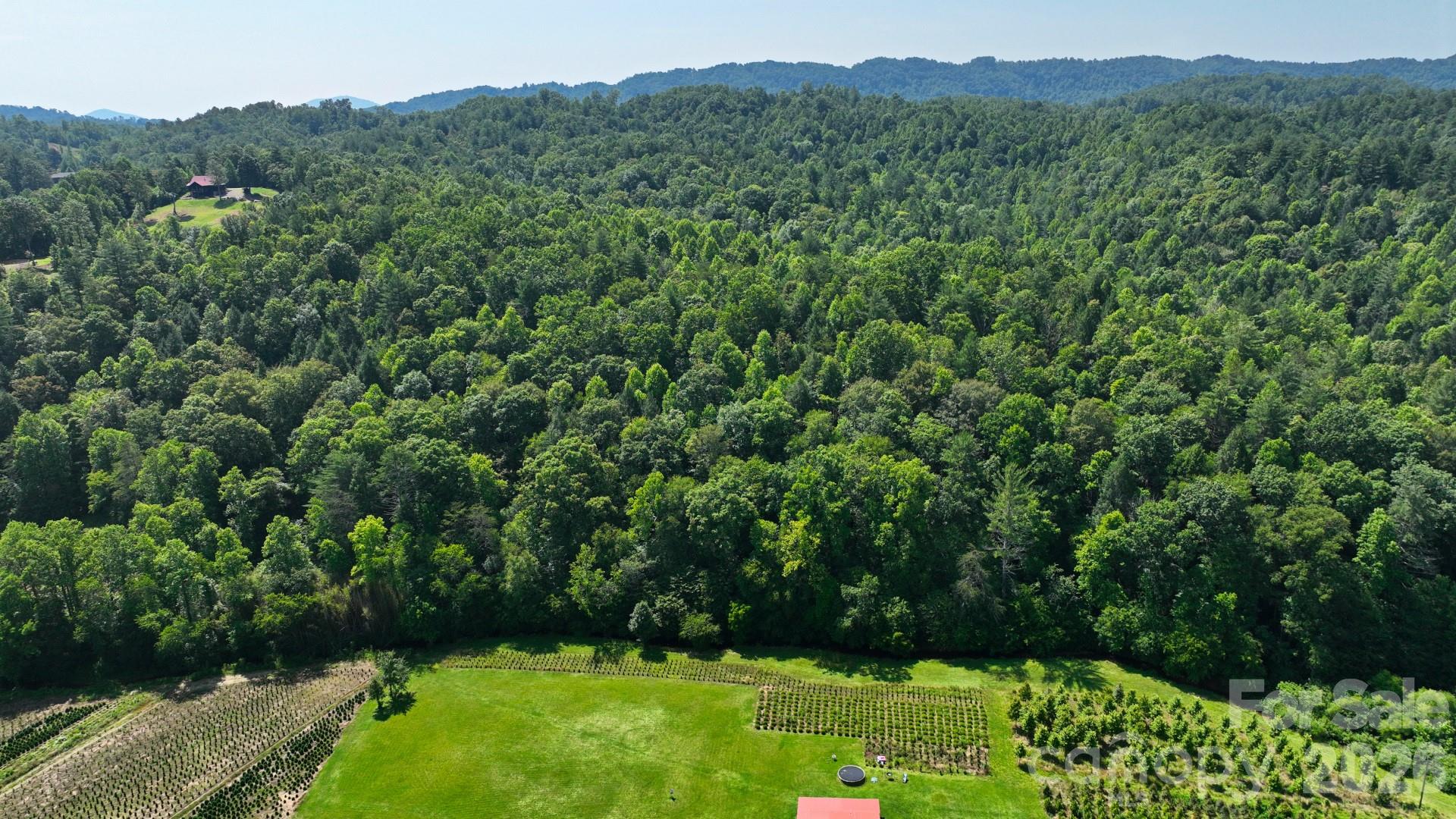 2967-2941 Roby Martin Road Lenoir, NC 28645 - Photo 33 of 47