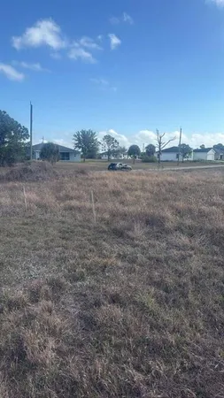 a view of a dry yard