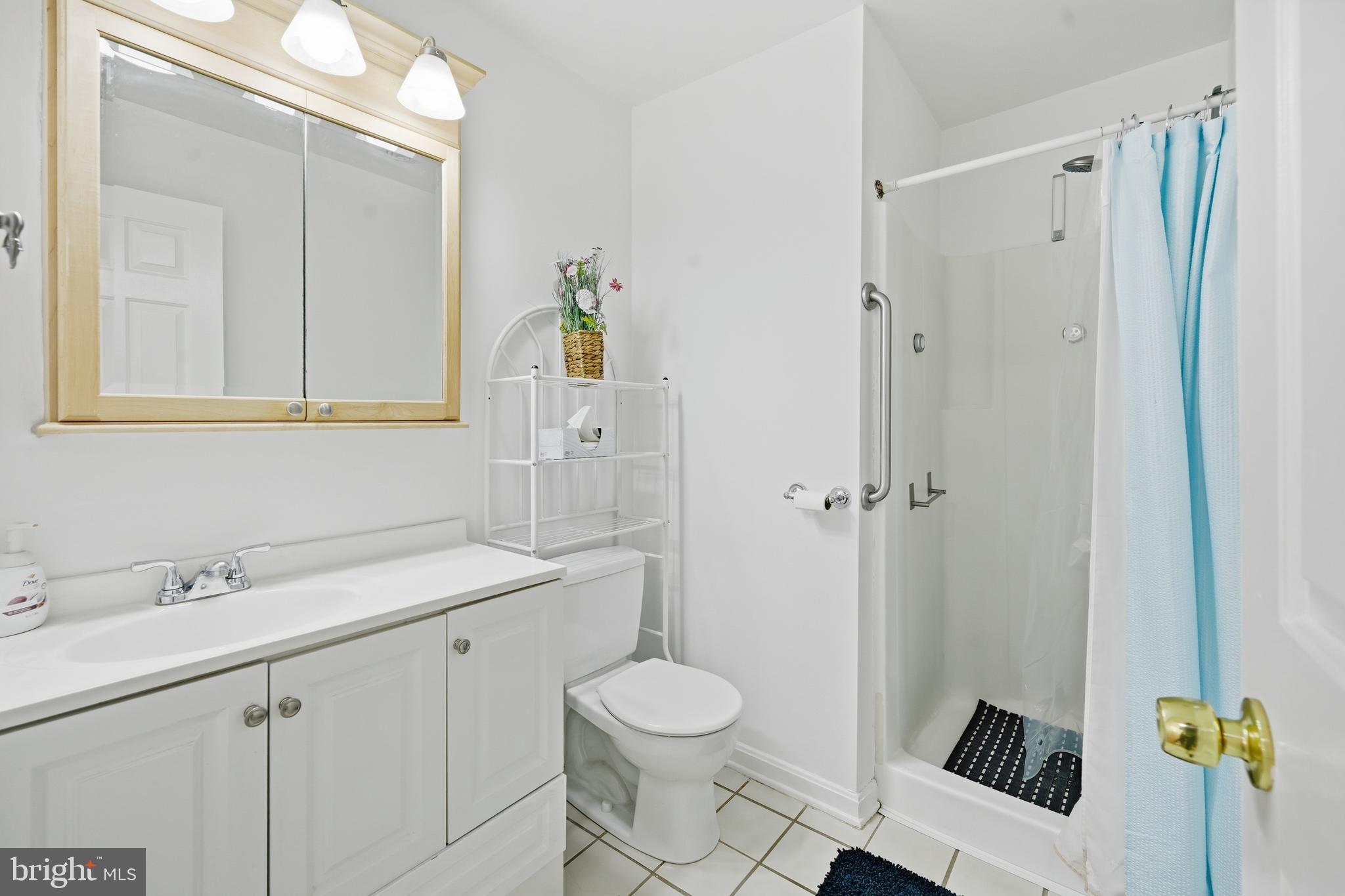 82 Sandyhook Road Berlin, MD 21811 - Photo 21 of 55 a bathroom with a sink a toilet and shower