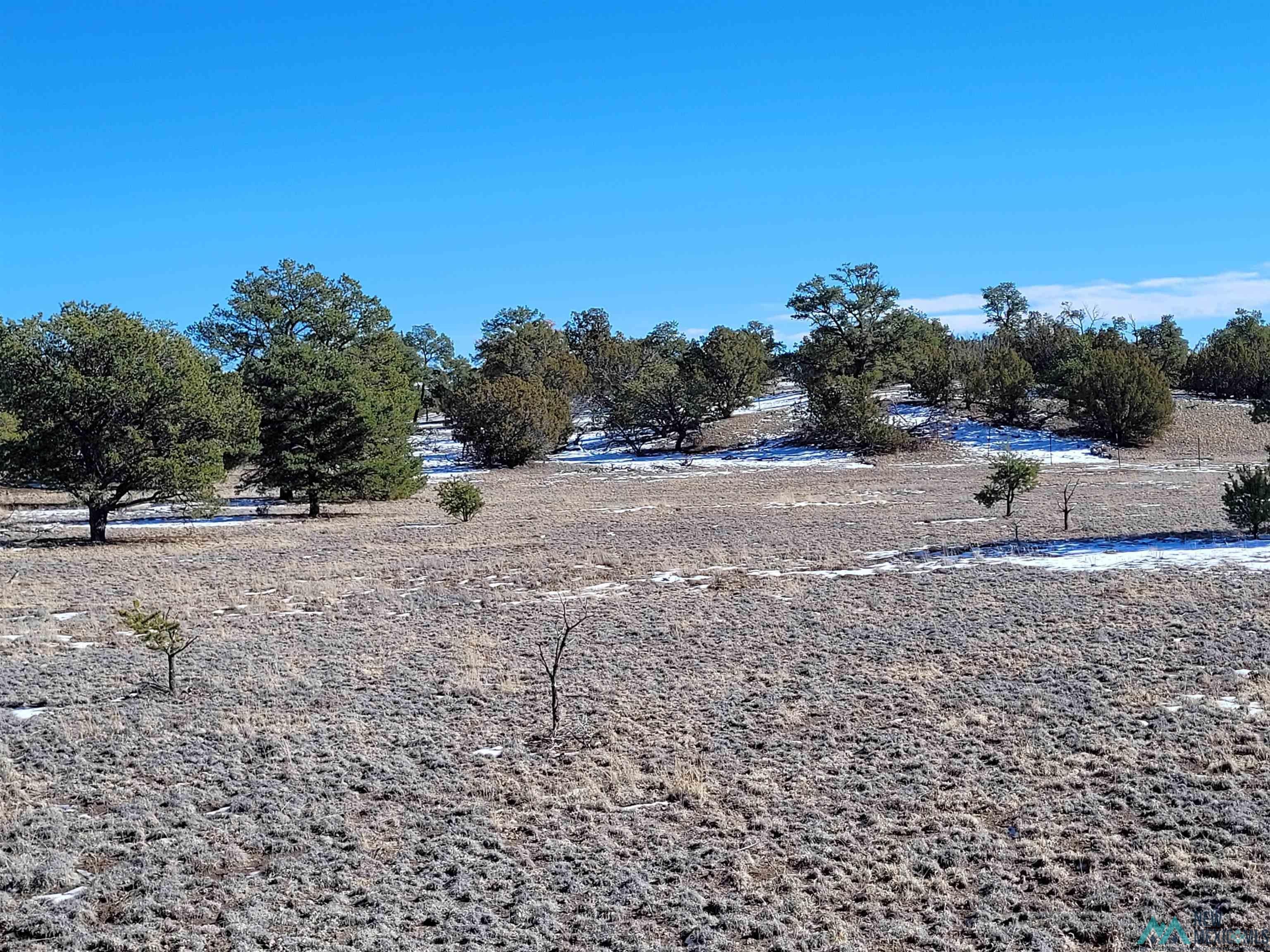 1 Jackass Lane, Unit 1 Datil, NM 87821 - Photo 16 of 46 Gallery Image 16
