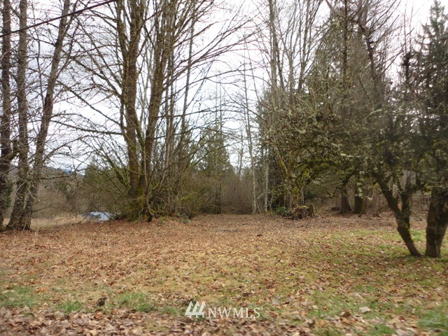 179 East Kiona Road Randle, WA 98377 - Photo 1 of 1 Gallery Image 1