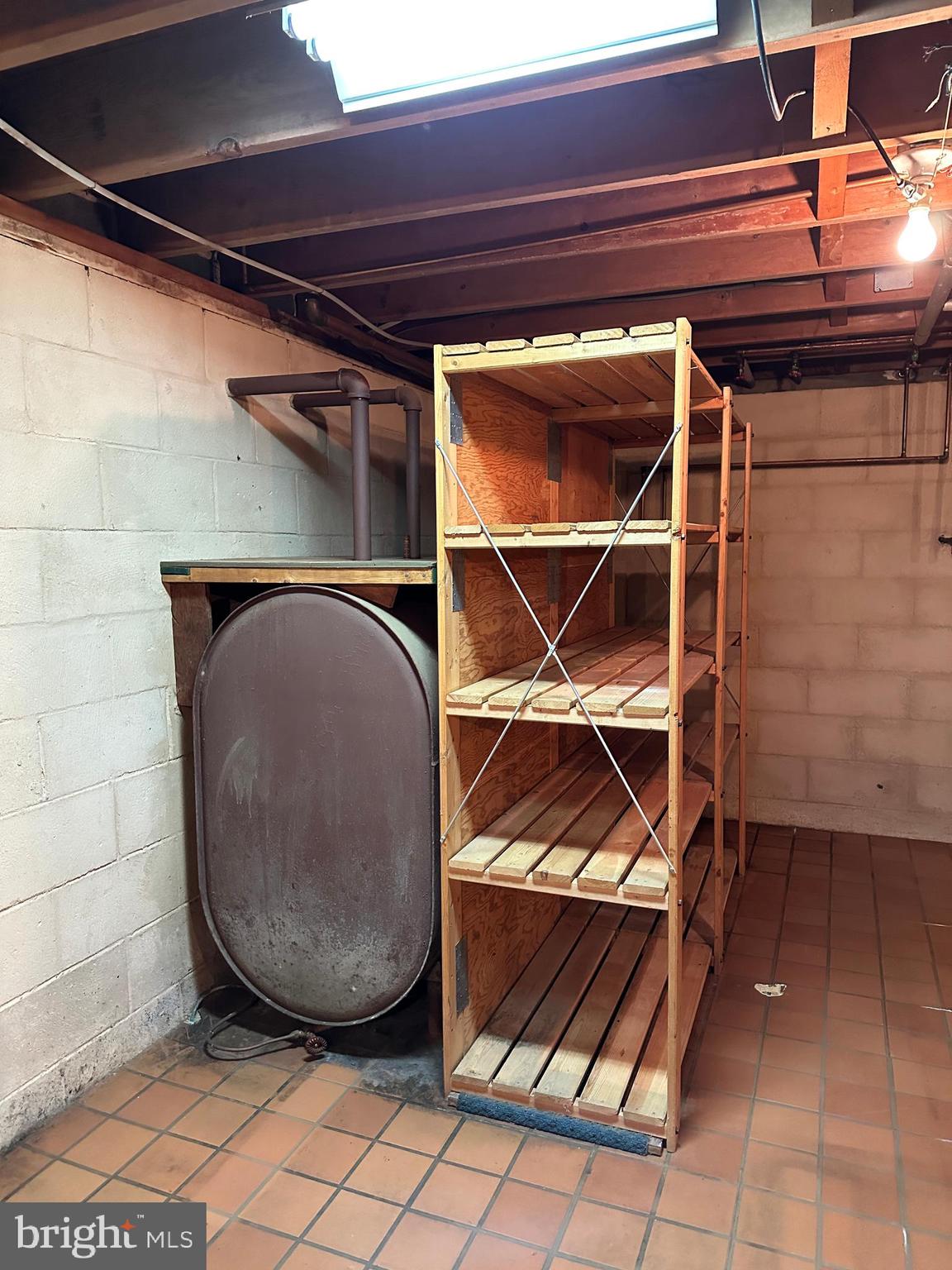 1111 East Sandy Ridge Road Doylestown, PA 18901 - Photo 42 of 42 Oil Tank/Basement Shelving