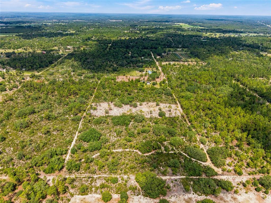 0 Northeast 56th Street Bronson, FL 32621 - Photo 15 of 20