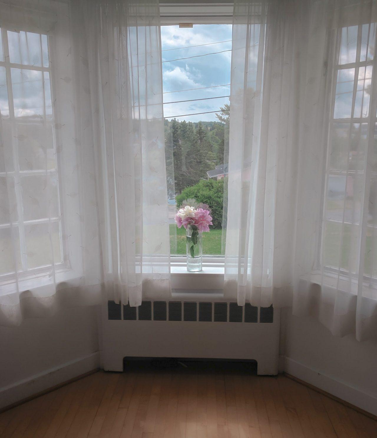 37 Pondview Street Limestone, ME 04750 - Photo 19 of 56 LRM_EXPORT_546629198983_20190630_0044271