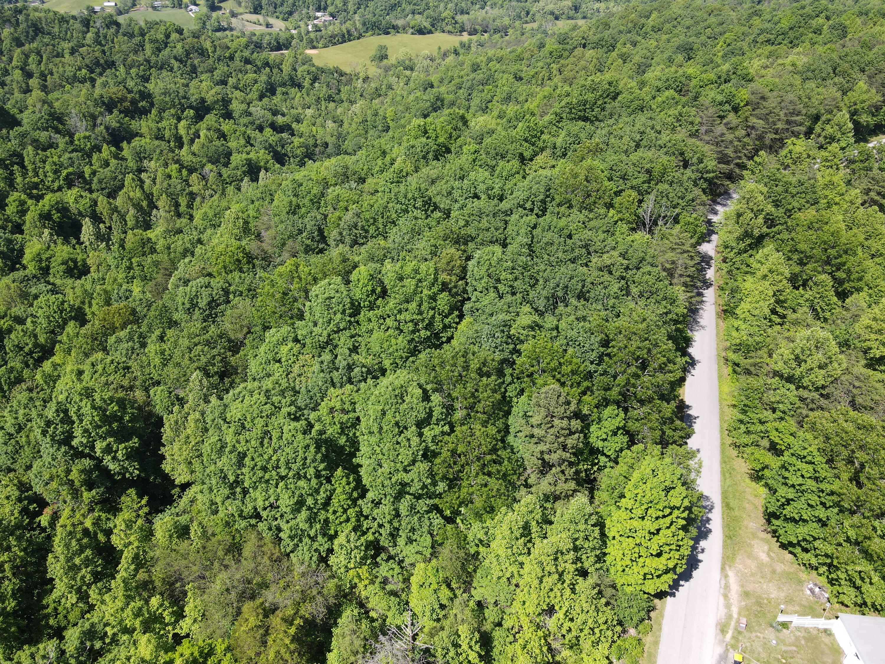 999 Maple Grove Road Orlando, KY 40460 - Photo 7 of 66 DJI_0165