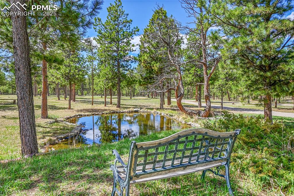 17350 Goshawk Road Colorado Springs, CO 80908 - Photo 40 of 50 a view of outdoor space with seating and trees
