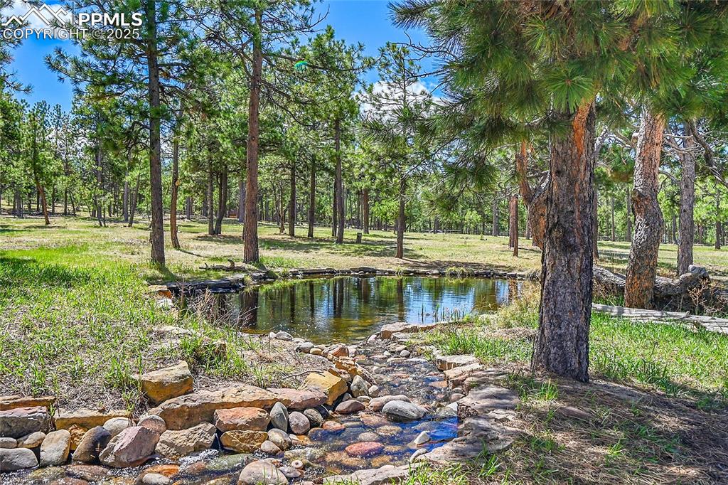17350 Goshawk Road Colorado Springs, CO 80908 - Photo 4 of 50 a view of a lake with houses