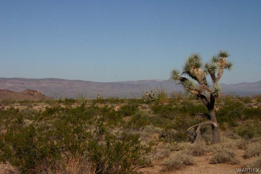 G5 A Sherry Road Yucca, AZ 86438 - Photo 1 of 16 Gallery Image 1