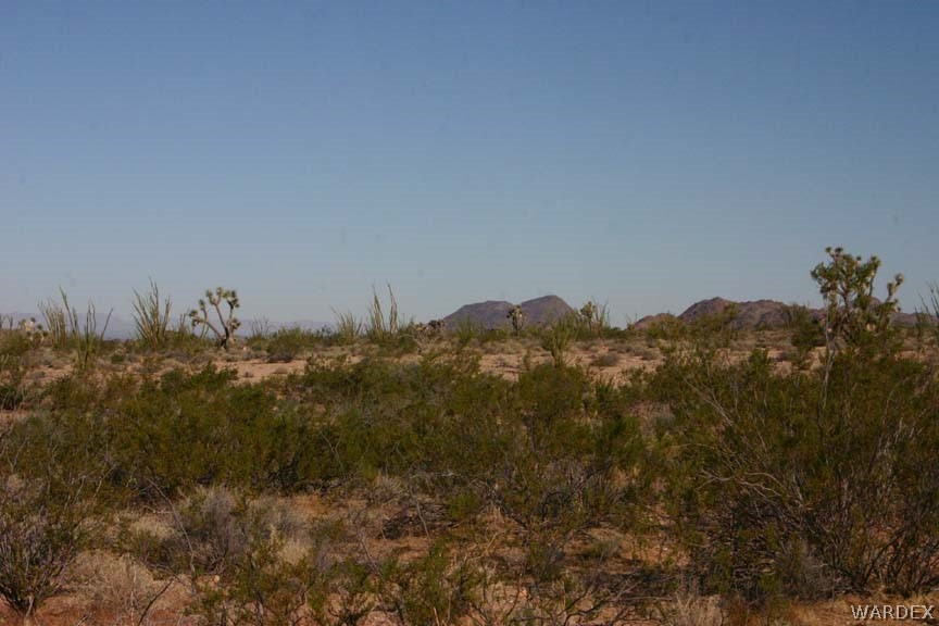 G5 A Sherry Road Yucca, AZ 86438 - Photo 11 of 16 Gallery Image 11