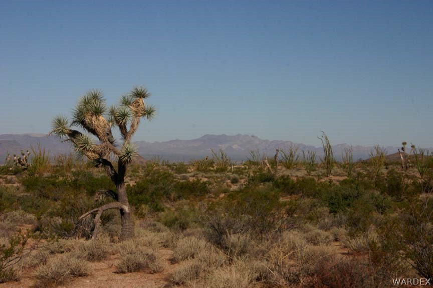 G5 A Sherry Road Yucca, AZ 86438 - Photo 12 of 16 Gallery Image 12