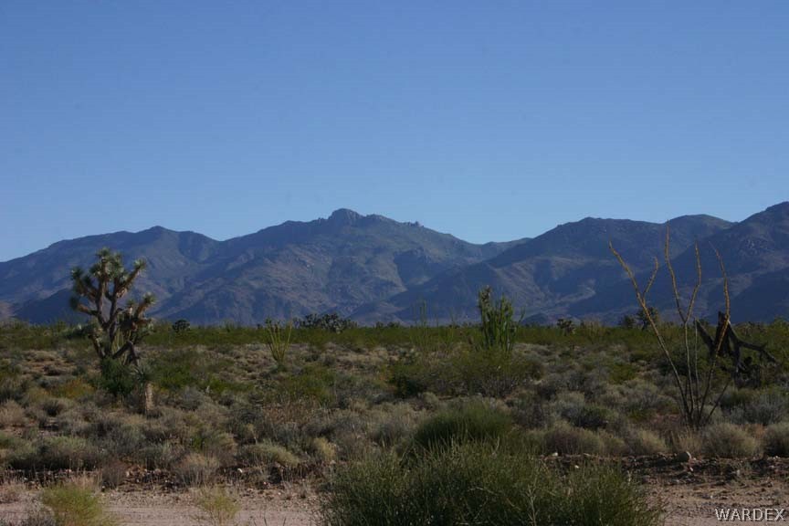 G5 A Sherry Road Yucca, AZ 86438 - Photo 13 of 16 Gallery Image 13