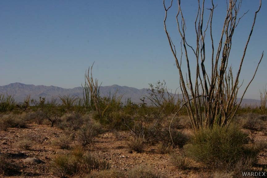 G5 A Sherry Road Yucca, AZ 86438 - Photo 5 of 16 Gallery Image 5